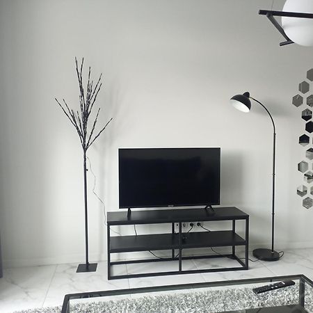 New Modern Apartment Oujhorod Extérieur photo
