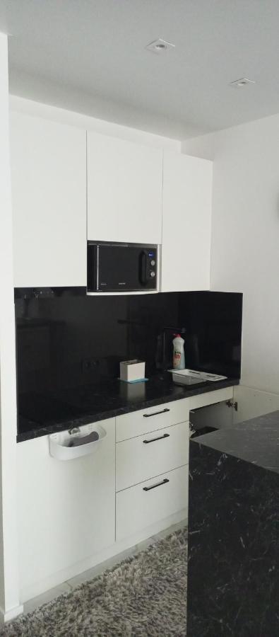 New Modern Apartment Oujhorod Extérieur photo