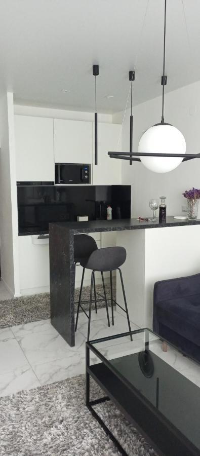 New Modern Apartment Oujhorod Extérieur photo