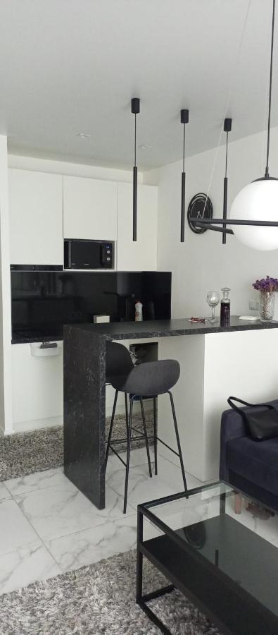 New Modern Apartment Oujhorod Extérieur photo